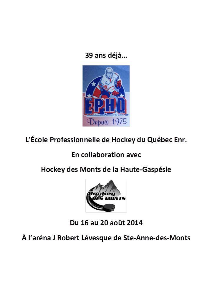 École de hockey l'été ( info Nancy au loisirs)