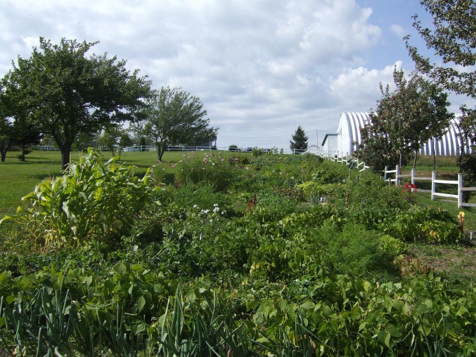 Galerie Municipalité de SaintGabrieldeRimouski